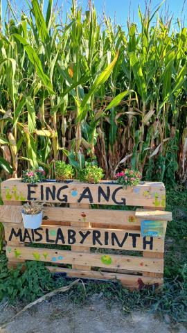 Maislabyrinth1